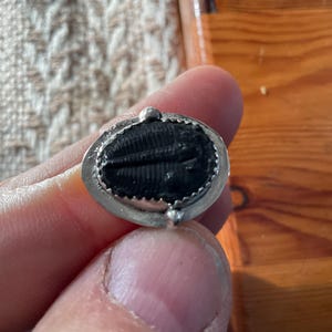 Trilobite Ring