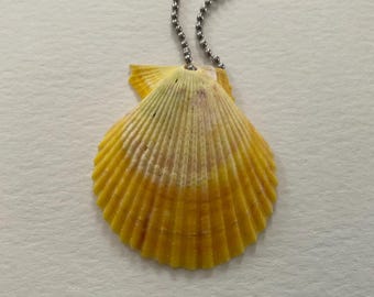 Yellow Oyster Shell on chain