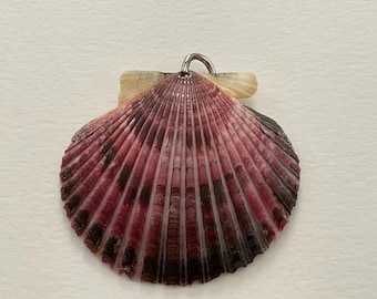 Large Spiney Half Shell