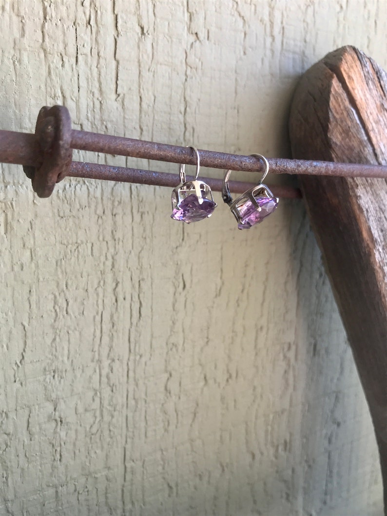 May include: A pair of silver earrings with purple gemstone accents. The earrings are hanging from a rusty metal bar.