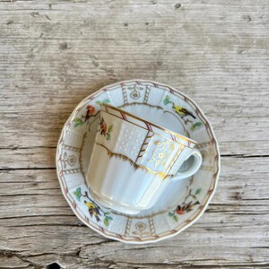 Heinrich Porzellan / Verschiedene Vögel / Demitasse Set / Teacup and Saucer / Various Birds / Gold Trim / Floral / Perched Birds / West Ger