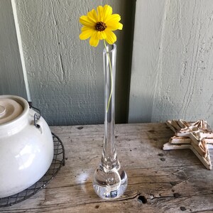 May include: A clear glass bud vase with a single yellow flower. The vase has a round base and a long, thin neck.