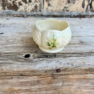 May include: A cream-colored porcelain bowl featuring a scalloped rim and a textured diamond pattern on the exterior. The front of the bowl displays a hand-painted floral motif with green leaves and small white blossoms on a smooth panel.