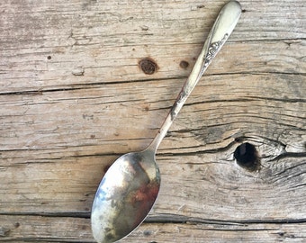Sterling Silver Spoon / Easterling / Rose Spray / Teaspoon / 1955 / Discontinued / Aged Patina / 6 Inch Spoon /