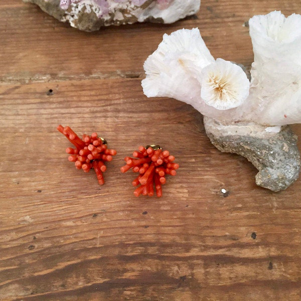 Faux Branch Spoke Coral Earrings / Plastic /  Made in Western Germany / Cluster / Costume Jewelry / Clip On / Vintage