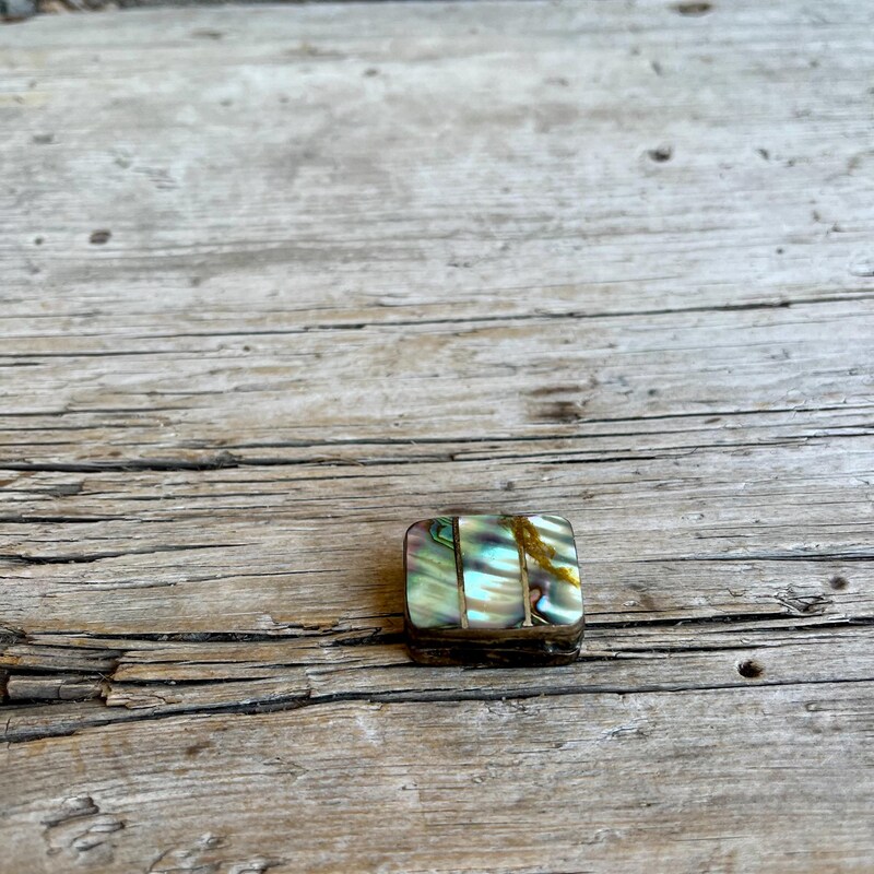 Abalone Hinged Shell - Etsy
