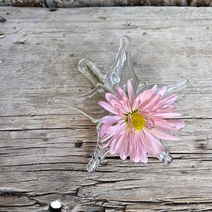 May include: A clear glass star-shaped vase holding a pink flower with a yellow center. The vase is on a weathered wooden surface. The flower's petals are a soft pink, contrasting with the clear glass and rustic wood.