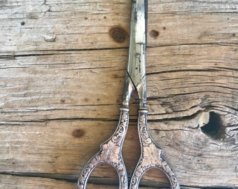 Sterling Silver / 5 1/2 Inch Scissors / Floral / Made in Germany / Ambidextrous / c1920s