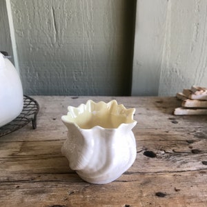 May include: A small, white ceramic vase with a scalloped rim and a textured, shell-like design. The vase has a pale yellow interior.