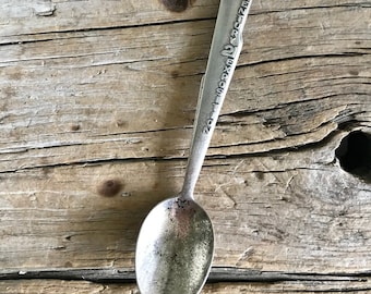 May include: A silver teaspoon with the inscription "Century 21 Exposition" on the handle. The spoon is on a wooden surface.