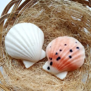 Mini saponi a forma di conchiglia, saponi a forma di conchiglia con colori realistici, bomboniere nautiche aerografate, regali per gli ospiti in sapone all'ingrosso, saponi a forma di conchiglia per decorazioni da bagno