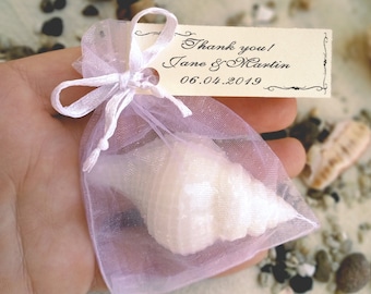 Conch shell soaps, wedding favors soap, mini conch shells, soap party favors, guest gifts in bulk, nautical wedding gifts, conch soaps gifts