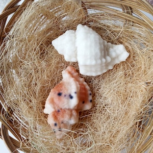 Conch shell soaps, natural conch shells, conch shaped soaps, wedding guest gift, nautical party favors, conch shells bulk, guest gifts bulk