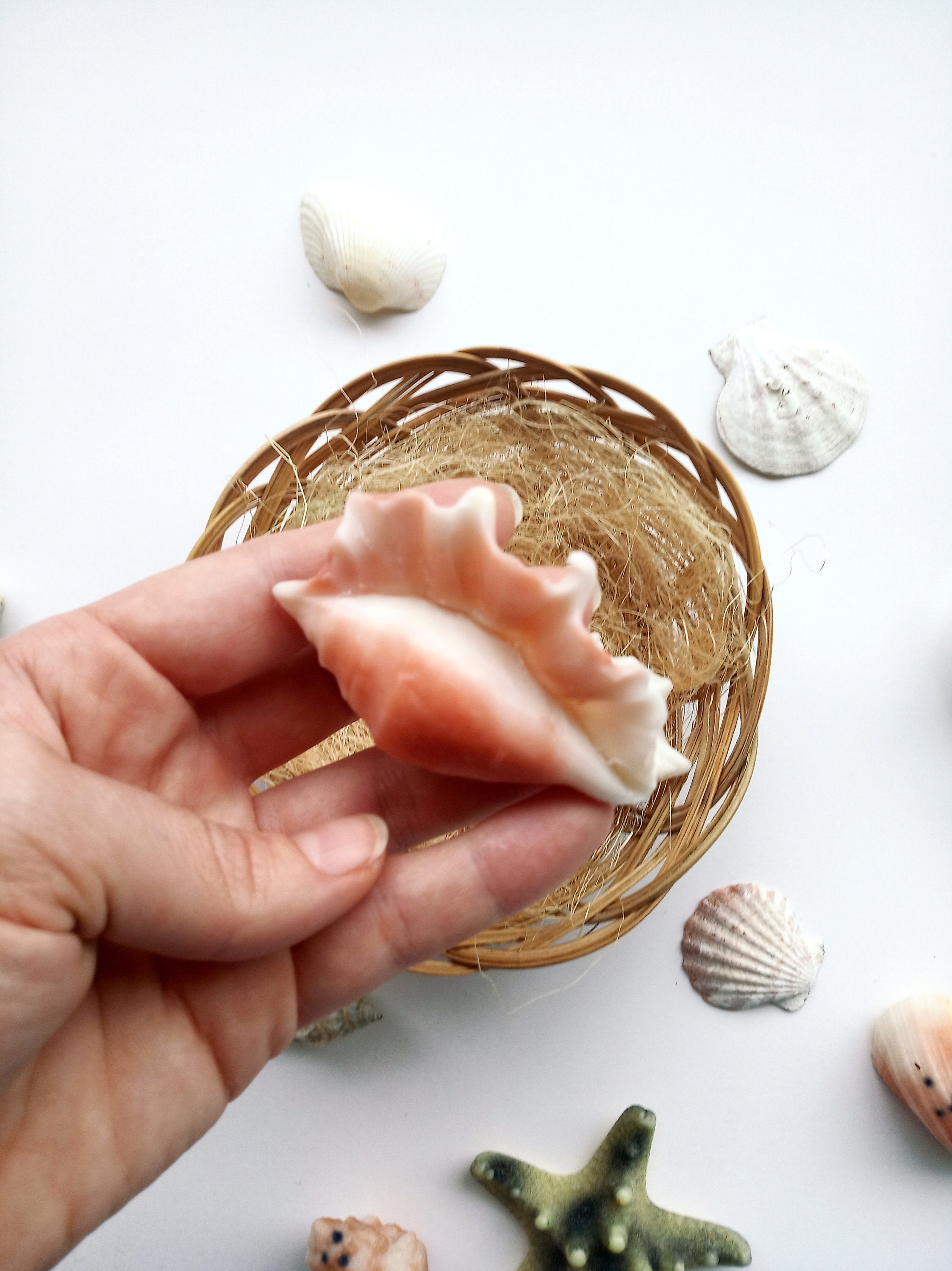 Mini Sea Conch Shaped Soaps, Realistic Color Sea Shell Soaps ...