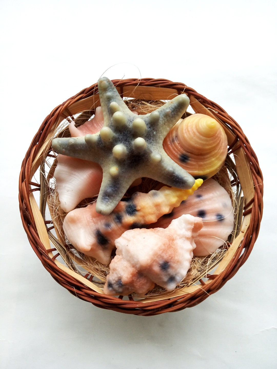 Realistic Colored Mixed Sea Shells Mini Soaps Beach Party Mini Soap ...