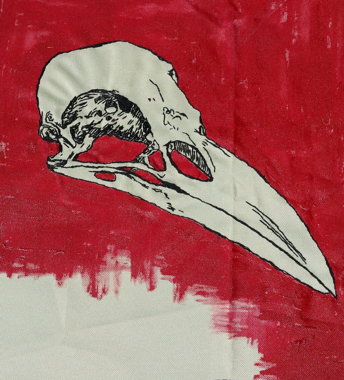 Crow Skull Etsy