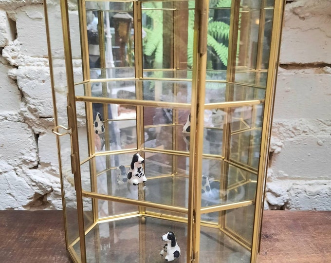 Brass and Glass Trinket Display Case. Etsy