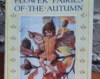 Vintage Flower Fairies of the Autumn by Cicely Mary Barker.