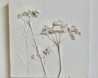 Botanical plaster cast, cow parsley, seed heads, raised impression, wild flowers, hedgerow, countryside, gift, wall tile, rustic