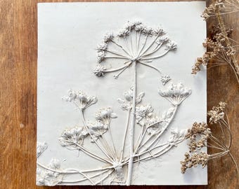 Cow Parsley Plaster Relief, Botanical Wall Art