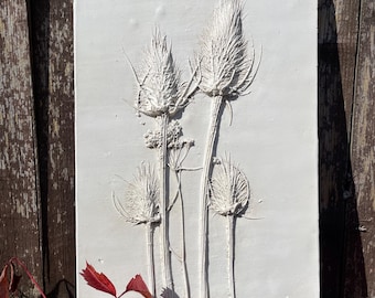 Botanical Plaster Relief, Teasels and Cow Parsley Wall Plaque