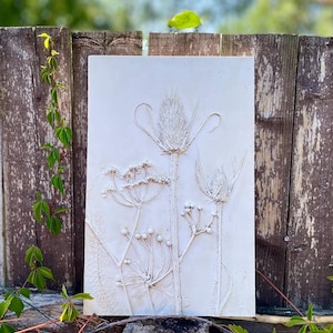 May include: A rectangular white plaster wall plaque featuring a raised, detailed botanical relief of various wildflowers, including a central teasel, umbel flowers, and small buds, all rendered in a monochromatic, matte white finish.