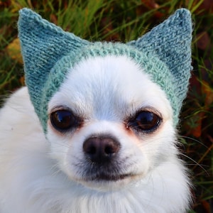 以下が含まれることがあります： 暗い目と鼻を持つ小さな白い犬が、2つの尖った猫のような耳が付いた明るいセージグリーンのニット帽を被っています。帽子は質感のあるニットパターンで、犬の頭にぴったりとフィットし、顔と耳を縁取っています。