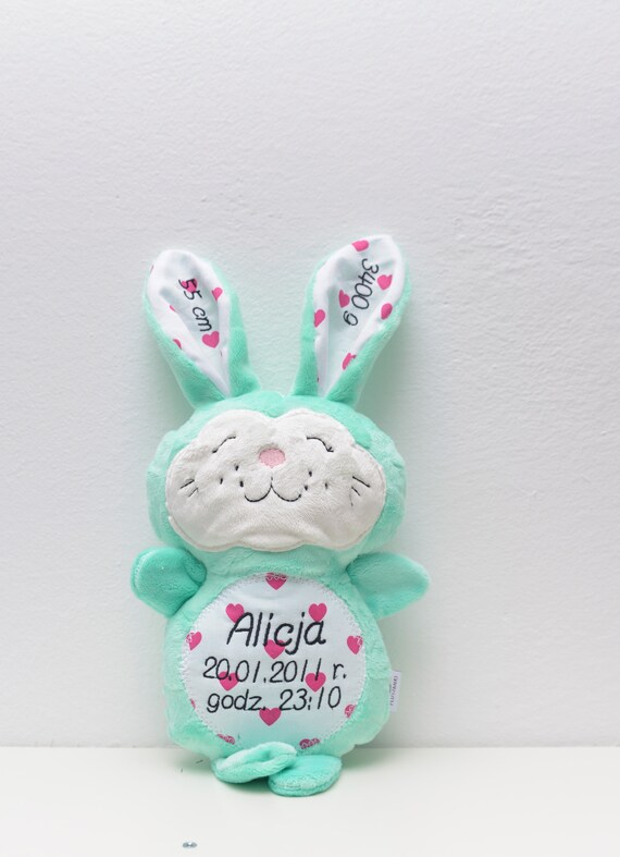 baby rabbit teddy