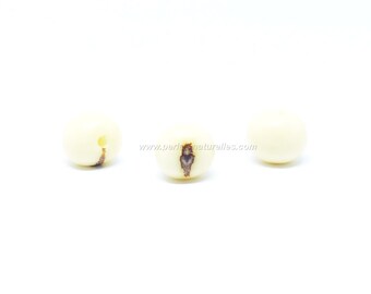 Asai - White - 10 or 100 Asai beads
