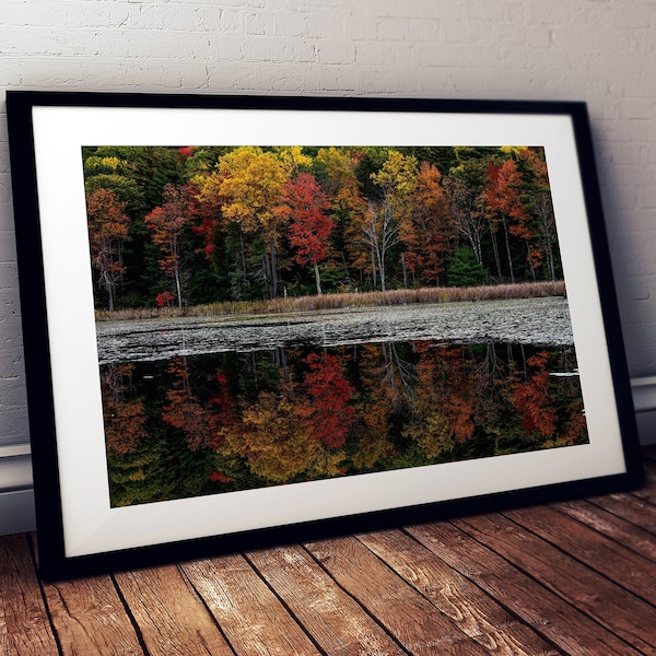 Digital Download - Tree Reflection in Great Barrington, Massachusetts - Photo of Fall Foliage in the Berkshire Hills of Massachusetts