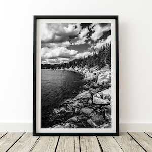 Acadia National Park, Maine - Photo of Otter Creek in Acadia National Park; Black-and-White Photo