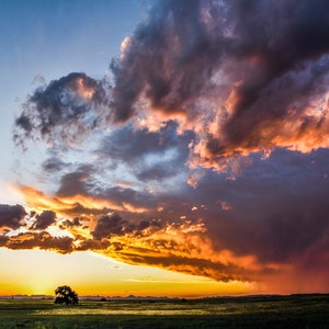 Sunset in Badlands, South Dakota - Photo of Epic, Colorful Sunset as a Powerful Storm Rages Across the Prairie and Bears Down on Two Trees
