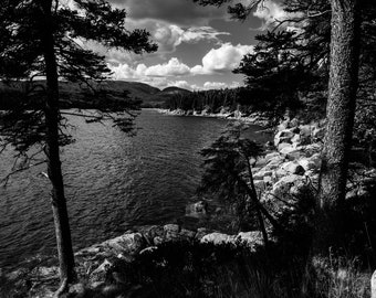 Otter Creek, Acadia National Park, Maine - Foto der Lush Pine Forests of Acadia Meeting its Rocky Coast; Schwarz-Weiß-Foto