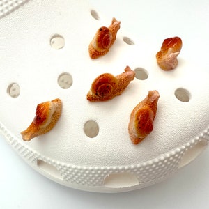 Snail Shoe Charms | Realistic Snail Shoe Charms | Pet Snail Charm | Unique Gift Ideas