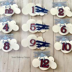 Vintage Airplane Monthly Photo banner garland, Time Flies decorations, 6ft Airplane garland, Airplane Party Decor- Colors can be Customized