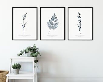 Set of 3 Eucalyptus & Fern Indigo Botanical Art Prints – Christian Wall Art, Bible Verse Decor, Home Decor, Christian Gift