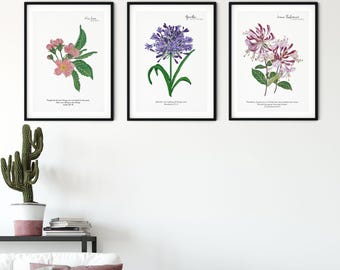Set of 3 Vintage New Beginnings Floral Bible Verse Wall Prints – Christian Wall Art, Home Decor