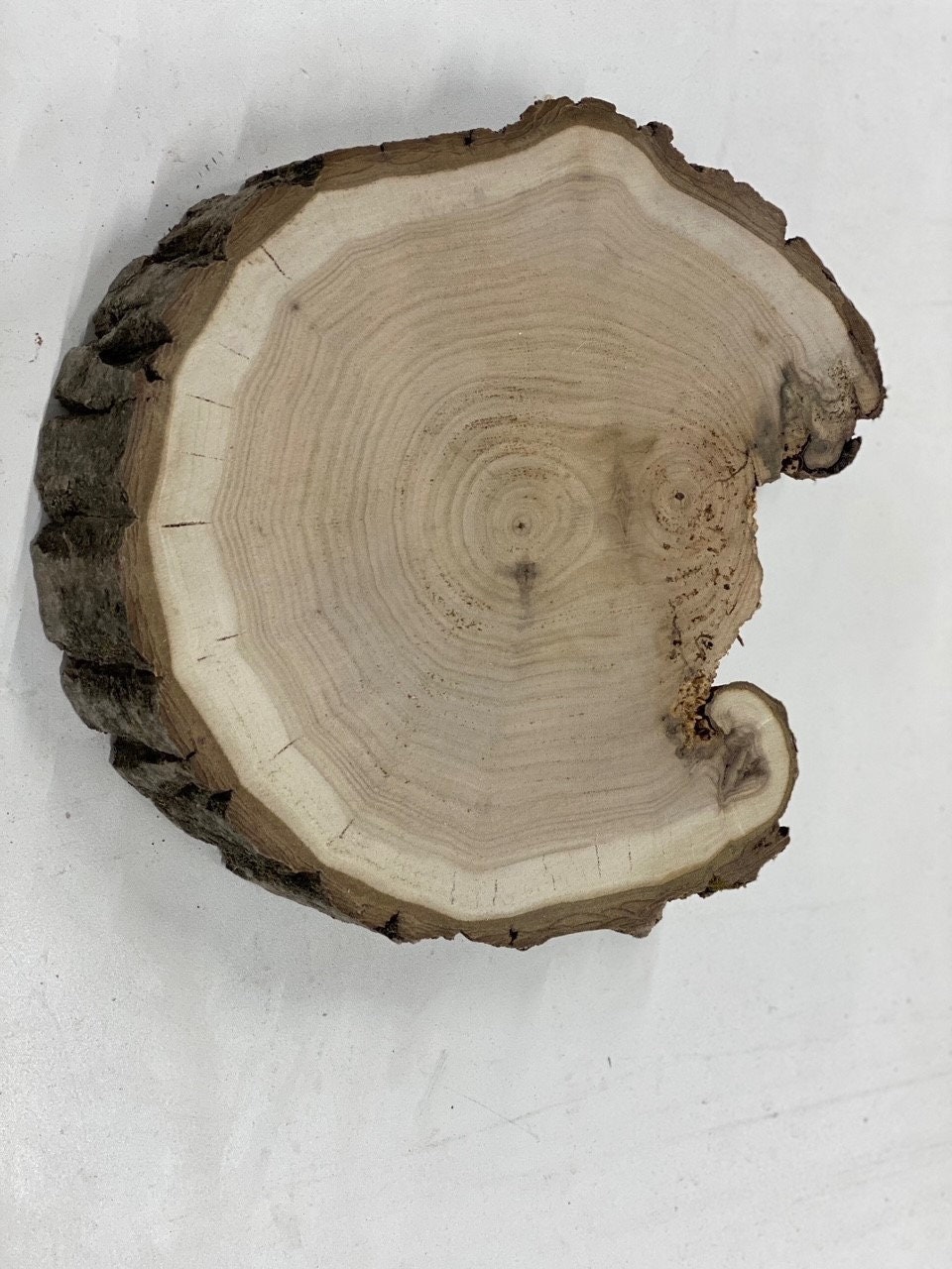 Oblong wood slabs, irregular slabs, discount wood disks, unique cookies, wood centerpieces, large wood slabs, rustic centerpieces