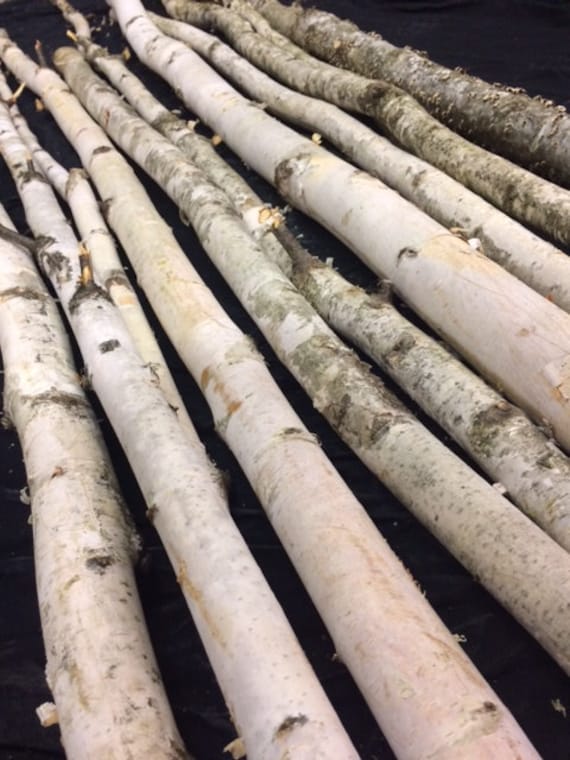 White Birch Poles