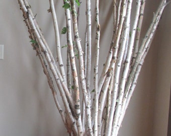 1"-1-1/2" -Set of 3 Real White Birch Poles, wood birch branches, birch tree decor, decorative trees, birch sticks, wedding decor, Chuppah