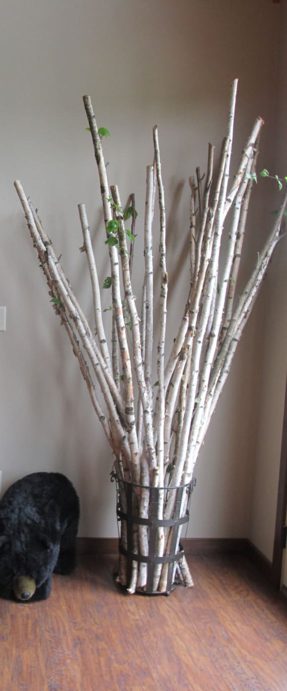 11 1 2 Set Of 3 Real White Birch Poles Wood Etsy