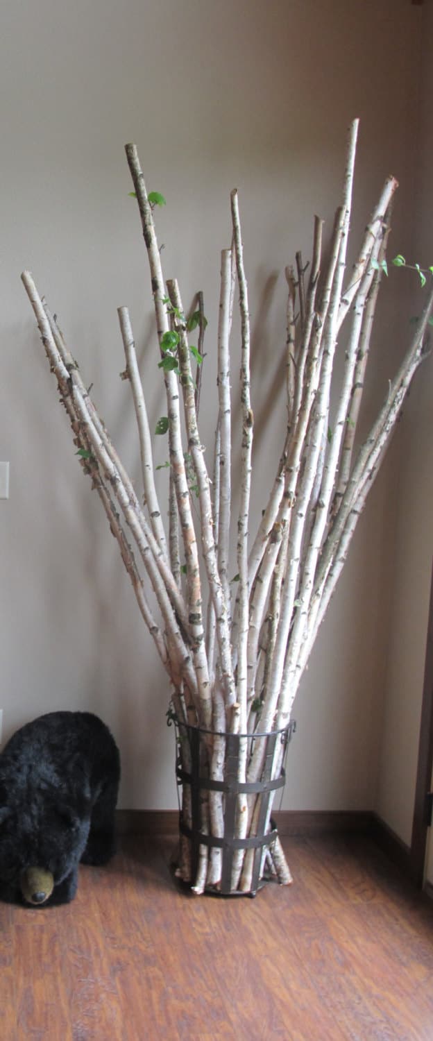 1"-1-1/2" -Set of 3 Real White Birch Branch, wood birch poles, birch tree decor, decorative trees, birch sticks, wedding decor, Chuppah
