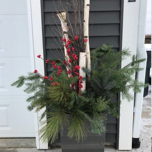 Set of 3 1&quot;-1-1/2&quot; Real White Birch Poles, branches, birch branches, birch trees, decorative trees, white birch, sticks, wedding decorations