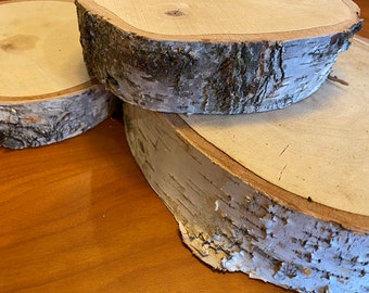 Thick Level White Birch Slabs, Dried Birch Tree Disk, Tree Slices, Birch Wood, Round Wood Slices, Birch Wood, Rustic Wedding Centerpiece