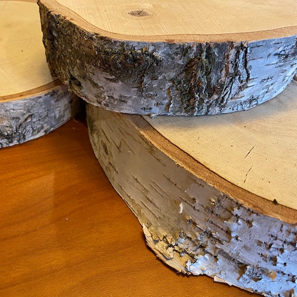 Thick Level White Birch Slabs, Dried Birch Tree Disk, Tree Slices, Birch Wood, Round Wood Slices, Birch Wood, Rustic Wedding Centerpiece