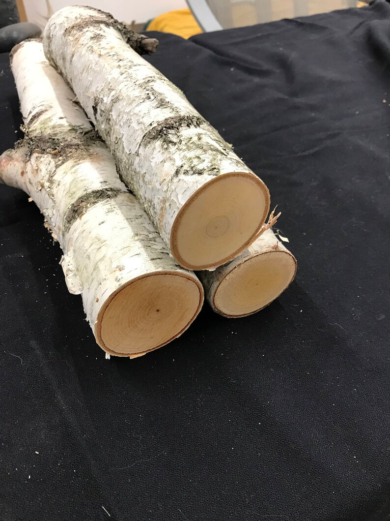 Natural Birch Logs Fireplace White Wood Log Set 18 2 Diameter For Decorations