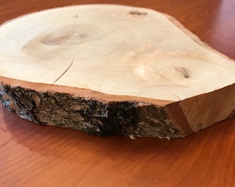 Oblong birch slabs, irregular slabs, discount wood disks, birch unique cookies, birch centerpieces, large birch slabs, rustic centerpieces