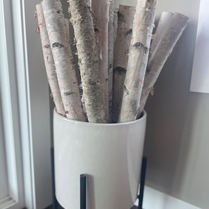 White Birch Poles for Sale - Decorative Birch Poles Case of 10, 2-3 inch Diameter Poles