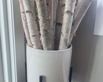 Natural White Birch Logs for Decorating (multiple quantities and sizes) - Rustic Decor, Home Decor, Fireplace Logs