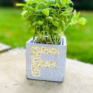Birth Flower Font Square Planter